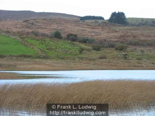 Carrownabanny Lough - Ladies Brae, Ladies Bray, Ox Mountains